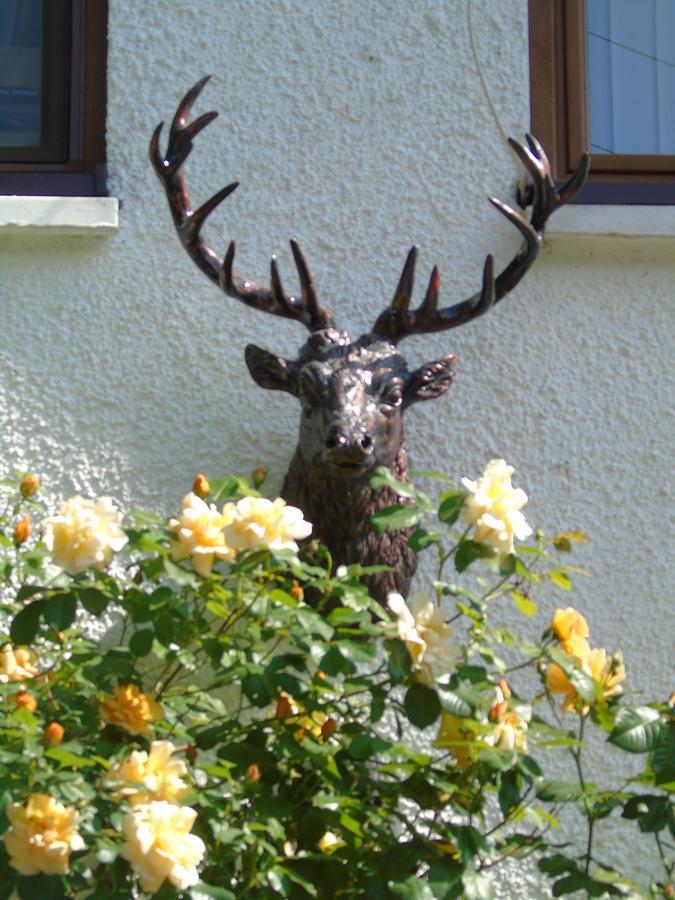 Craik Na Dav B&B Інверморістон Екстер'єр фото